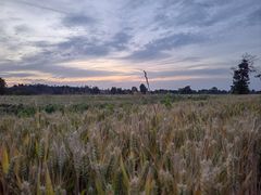 -汉长安城未央宫国家考古遗址公园