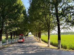 -嘉北郊野公园