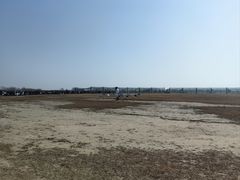 -盐城丹顶鹤湿地生态旅游区