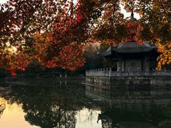 -习家池