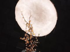 -月下料理(楷林IFC店)