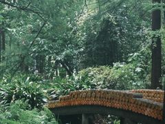 -东湖落雁景区