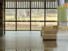 -千年银杏谷文化旅游区