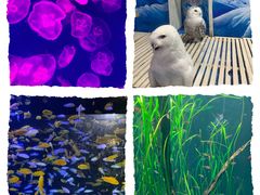 -成都浩海立方海洋公园