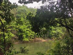 -青龙山国家森林公园