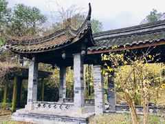 -铁山坪森林公园