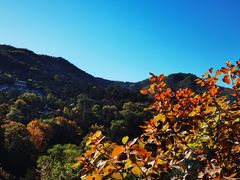 -香山公园