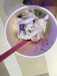 -朵莉丝希腊冻酸奶