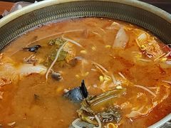 -弘烨 贵州酸汤 鱼火锅(东财店)