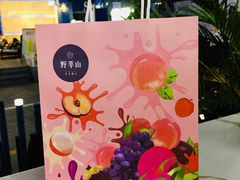-野萃山·潮汕厚果汁(十亩地店)