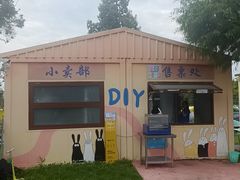 -合肥滨湖国家森林公园