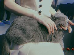 -极木²邸 人与宠物·互动社区