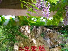 -龙口南山旅游景区