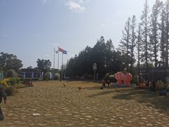 -上海长兴岛郊野公园