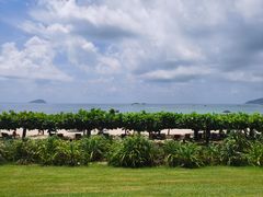 -糟粕醋·椰苑海南菜餐厅(亚龙湾天域酒店)