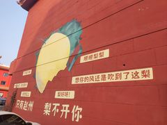 -赵州桥景区