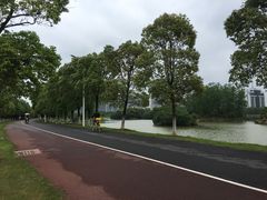 -艾溪湖湿地公园