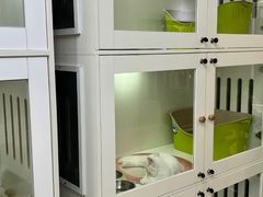 -青奢宠物·青奢猫舍