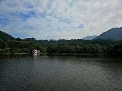 -深圳仙湖植物园