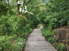 -火炉山森林公园