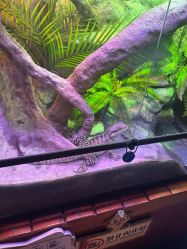 -酷嗒动物文化乐园(cutezoo西溪乐天城店)