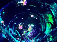 -海合安成都极地海洋公园