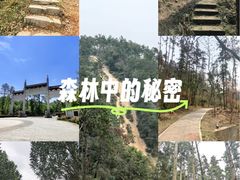 -青龙山国家森林公园