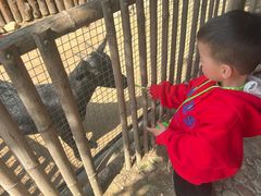 -泉州海丝野生动物世界