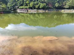 -广州市帽峰山景区