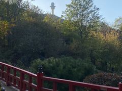 -大连植物园