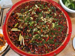 -东吴霸王兔(松青路店)