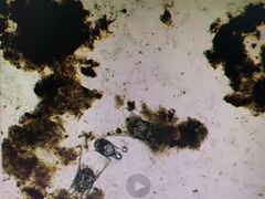 -爱诺耐芙动物医院(万博店)