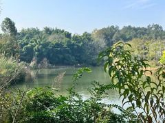 -黄龙溪欢乐田园