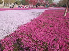 -石家庄市植物园