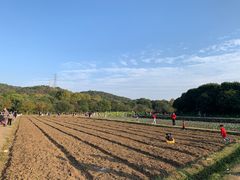 -八卦田遗址公园