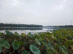 -素心小筑(后沙裕镇店)