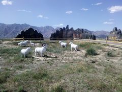 -敕勒川草原文化旅游区