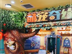 -萌宠奇缘