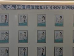 -贝利宠物医院·骨科·眼科·肿瘤转诊中心(南坪诊疗中心)