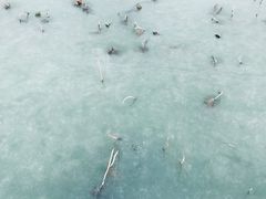 -天津东丽湖风景区