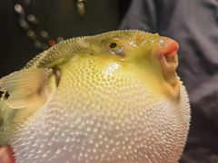 -永安鱼庄·镇江菜(东吴路店)