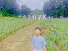 -紫海香堤香草艺术庄园