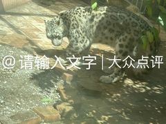 -青藏高原野生动物园