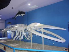 -福州罗源湾海洋世界旅游区