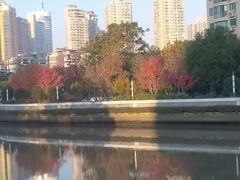 -苏州河梦清园环保主题公园