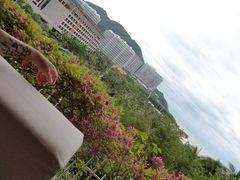 -半山半岛洲际度假酒店·观海廊