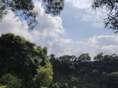 -海口火山口国家地质公园