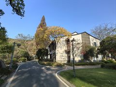 -杭州雅谷泉山庄酒店-餐厅