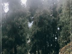 -九峰山