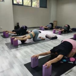 -榕树上·瑜伽普拉提